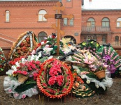 Апрель 2008 г.